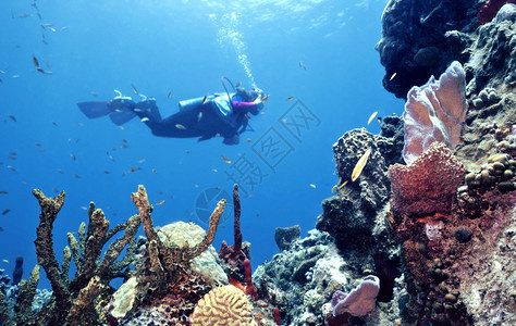 原始礁石图片