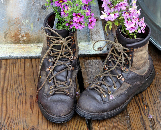 木甲板上种着花的旧靴子图片