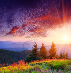 在山的夏天风景与太阳图片