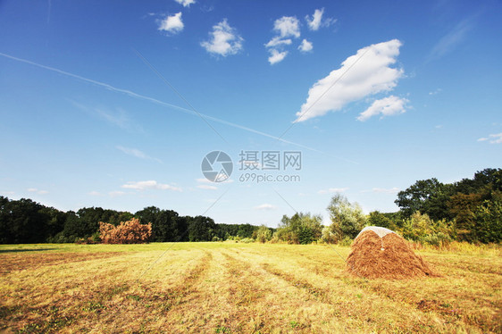 田间干草图片