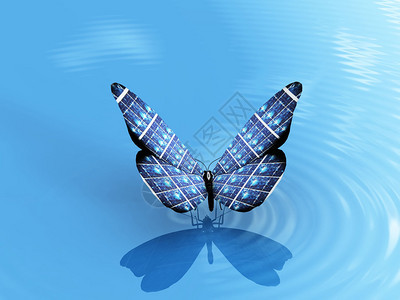 太阳能电池蝴蝶图片