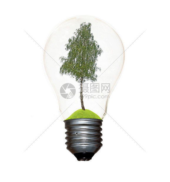 以树为灯丝的白炽灯泡高清图片下载-正版图片504683226-摄图网