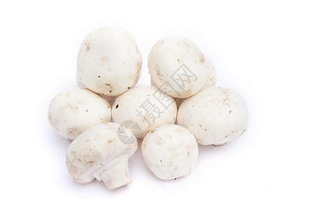 在白色背景上孤立的香菇烹饪蘑菇图片