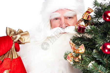 圣诞老人拿着圣诞树图片