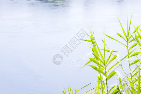 河流景观图片