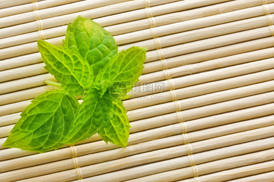 香料草药图片