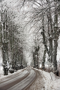 秋季初雪后的道路图片