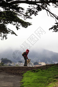 山上有条狗的女孩在雾背景的山坡上旧金山图片