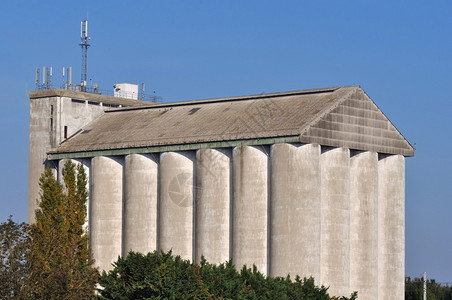 圆柱形的大型农业筒仓图片