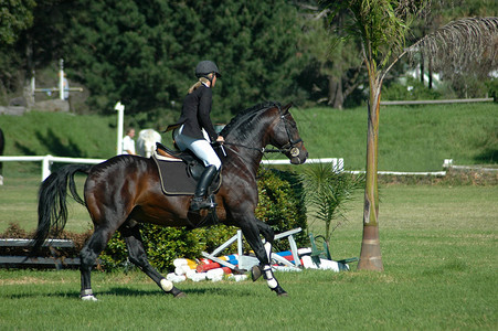 骑着她美丽的棕色马的白人骑女马在背景图片