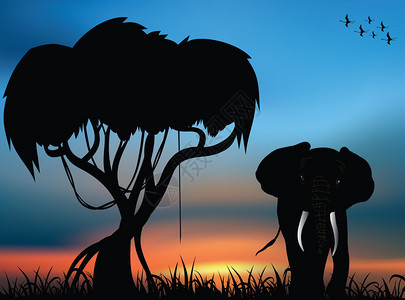 日落时有非洲大象的非洲大草原图片