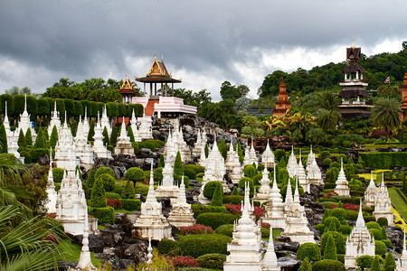 Nongnooch热带植图片