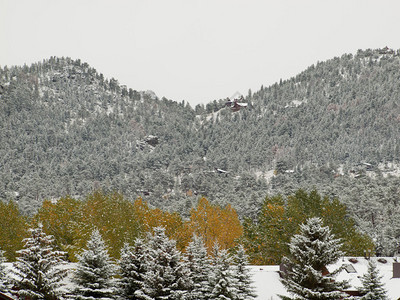 落基山公园的冬季森林图片