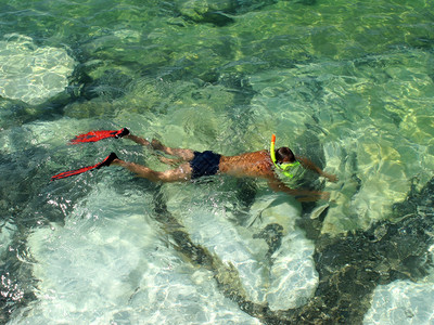 潜水员在透明的水中游泳图片