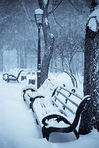 冬季公园的白雪覆盖的长椅图片