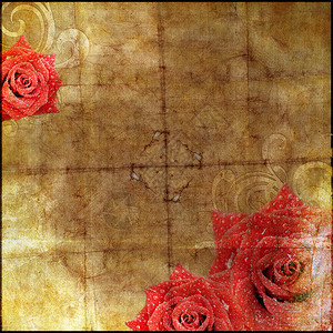 美丽的复古纸背景与玫瑰剪影图片