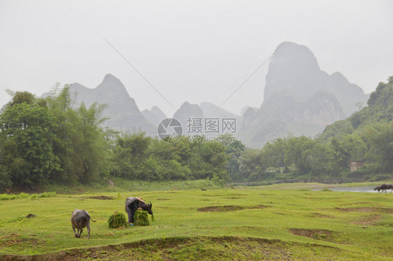 阳朔田园风光图片