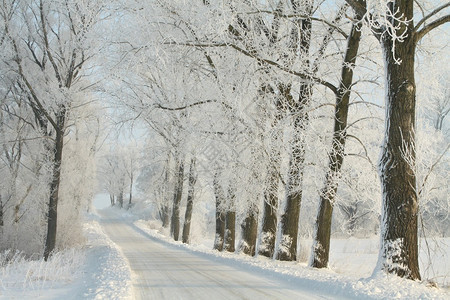 在12月阳光明媚的清晨乡村公路通向图片
