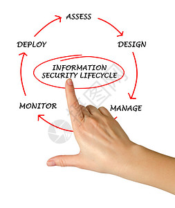信息安全生命周期图背景图片
