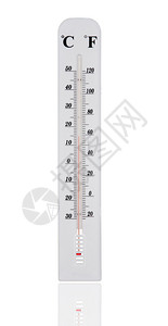 在白色背景上隔离的白温图片