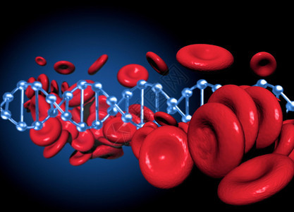 DNA和红血细胞在概背景图片