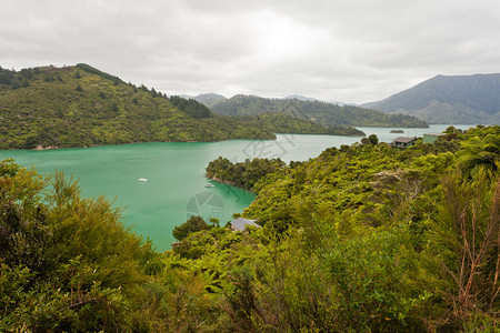 新西兰MarlboroughSoundKenepuruSound等美丽的沿海风景图片