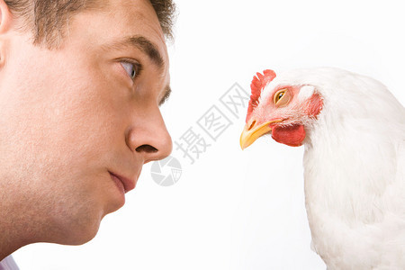 男人的脸看着鸡肉上面图片