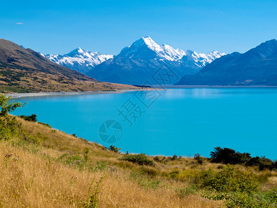新西兰南岛坎特伯雷奥拉基库克山公园图片