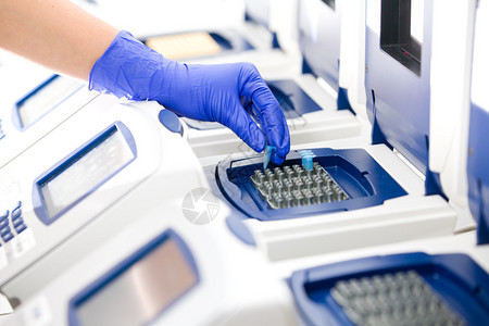 具有DNA复制的科学家实时PCR图片
