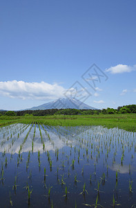 日本木冈伊瓦特山和牧区地背景图片
