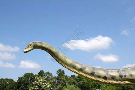 长颈雷龙恐龙图片