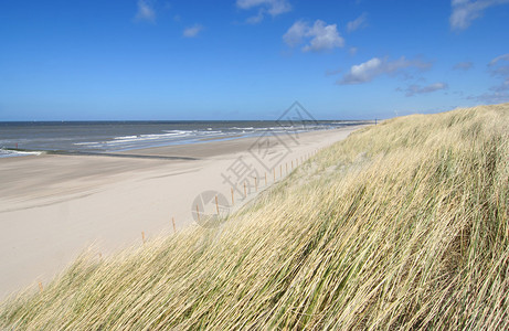 荷兰海岸的沙丘和海滩图片