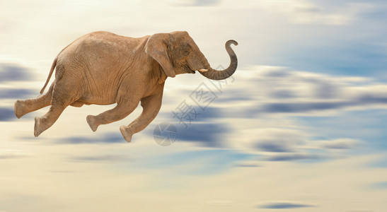 飞象户外图片素材