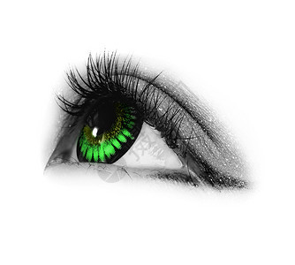 美丽的绿色眼睛图片