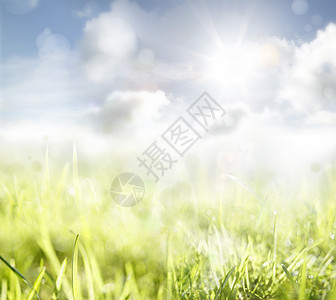 草和天空春天背景图片
