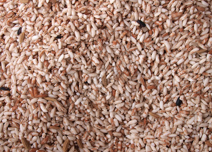 红薯米饭褐稻种本底背景