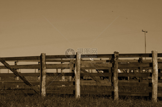 农场篱笆塞皮亚为你的工作树立了一图片