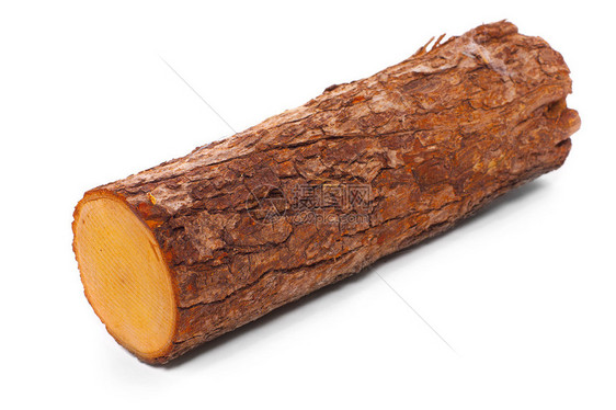 来自共同橡树Quercusrobur的砍木柴可再生能源资图片