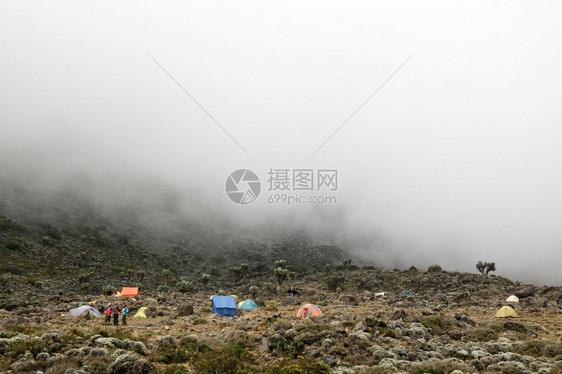 非洲坦桑尼亚MtKilimanjaro山图片