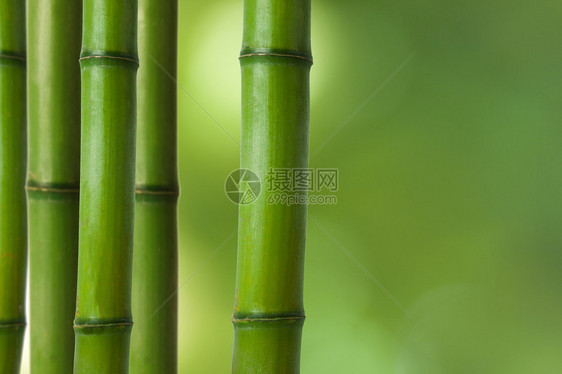 竹筒基金温泉装饰图片