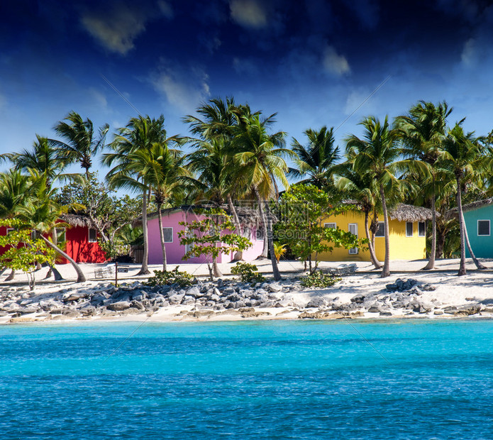 揭秘加勒比海盗电影宇宙的最新章节 (加勒比海百科)