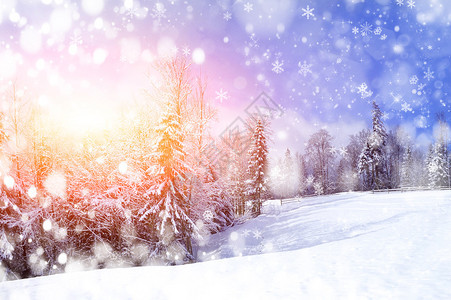 美丽的冬季景观图片
