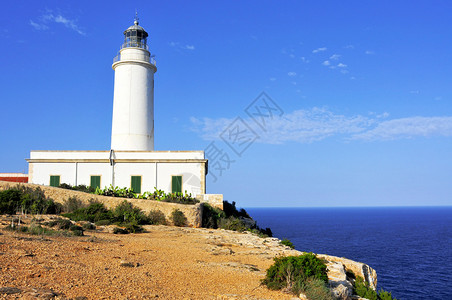 西班牙巴利阿里群岛Formentera的FardelaMo图片