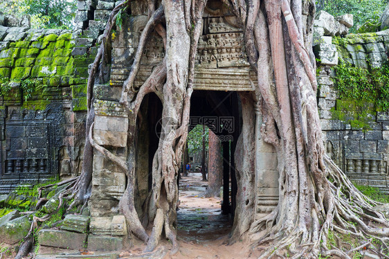 AngkorWat柬埔寨SiemReap寺庙图片