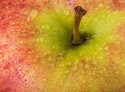 苹果与水滴宏图片
