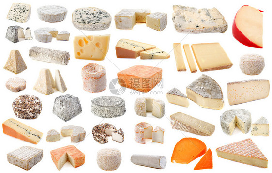 白色背景前各种奶酪的构成图片