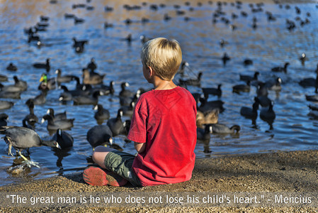 男孩在湖边喂鸽子图片