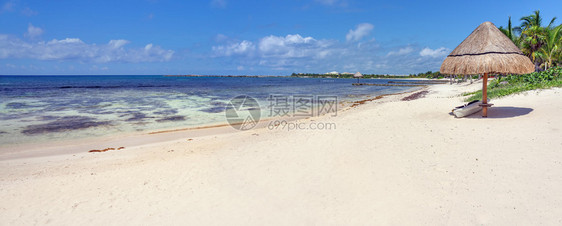 以太阳伞为背景的天堂夏日海滩图片