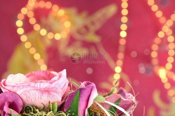 粉红色的背景灯光和一朵花图片