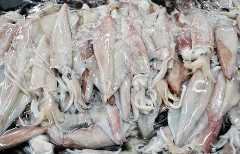 生鲜市场的鲜鱿鱼图片